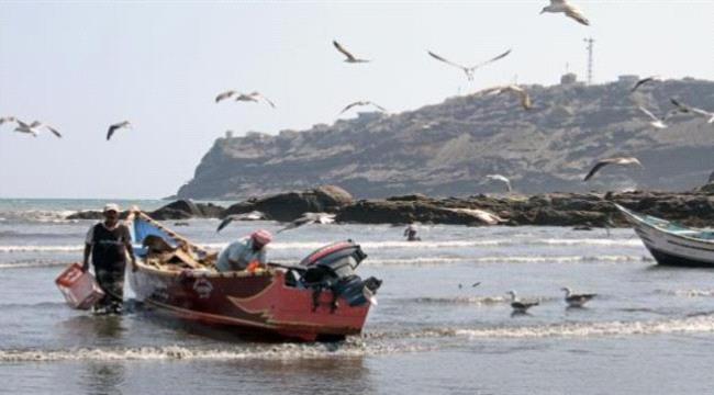 دراسة: إنتاج اليمن السمكي انخفـض إلى النصف